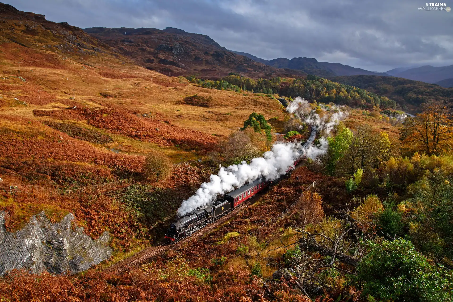 Train, Mountains, trees, viewes, autumn