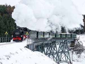 steam, Train, snow, bridge, winter, locomotive
