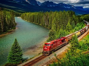 woods, Train, Alberta, Canada, Mountains, River