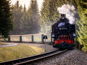 Wagons, forest, ##, locomotive, Train