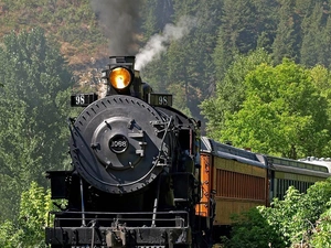 forest, Train, locomotive