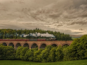 Sky, Train, trees, Clouds, bridge, forest, viewes