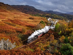 Train, Mountains, trees, viewes, autumn