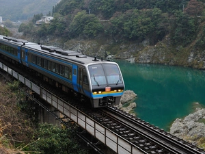 Houses, Train, rocks, River, forest, bridge