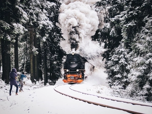 snow, Train, forest, People, winter