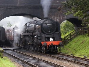 Train, bridge, ##, locomotive