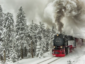 Train, winter, forest