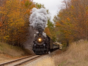 viewes, autumn, steam train, locomotive, ##, trees