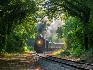 viewes, forest, steam train, smoke, ##, trees