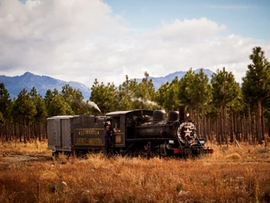 trees, viewes, Mountains, forest, locomotive