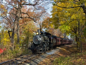 Wagons, locomotive, trees, viewes, track, steam