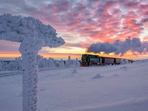 trees, steam train, Great Sunsets, Snowy, winter, viewes, clouds