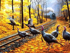 Leaf, turkeys, ##, forest, Train