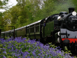 viewes, Flowers, locomotive, trees, Train