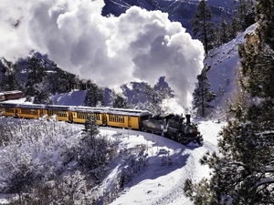 Train, Mountains, forest, winter