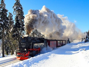 Train, viewes, winter, trees
