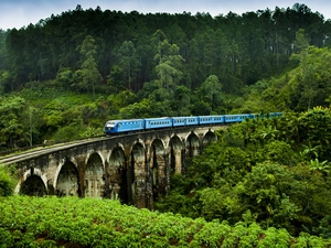 woods, Electric train, Demodara, Nine Arches Bridge, Sri Lanka