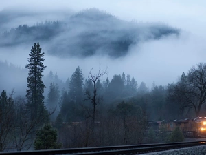 Fog, Mountains, Train, woods