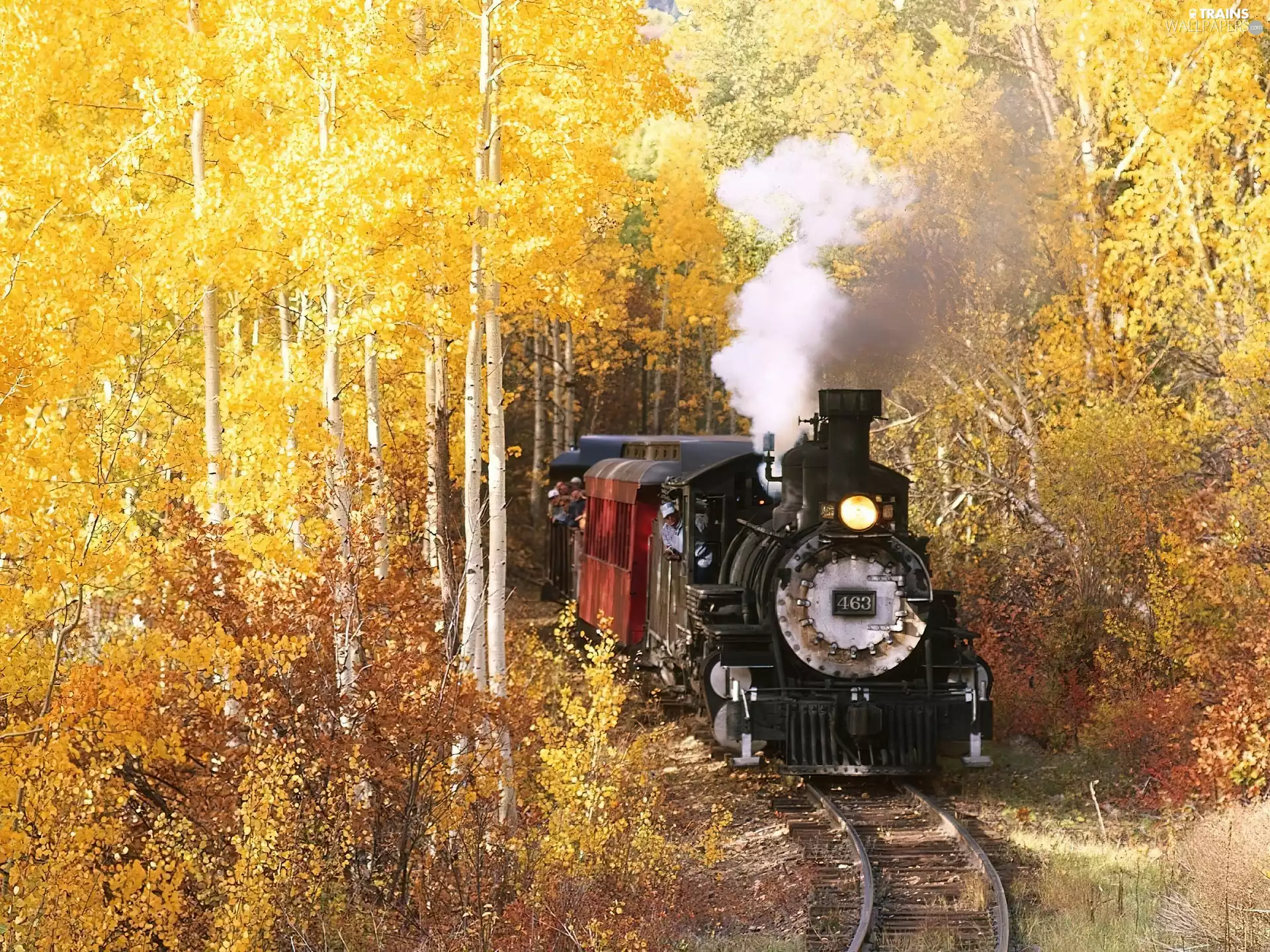 autumn, Train, locomotive