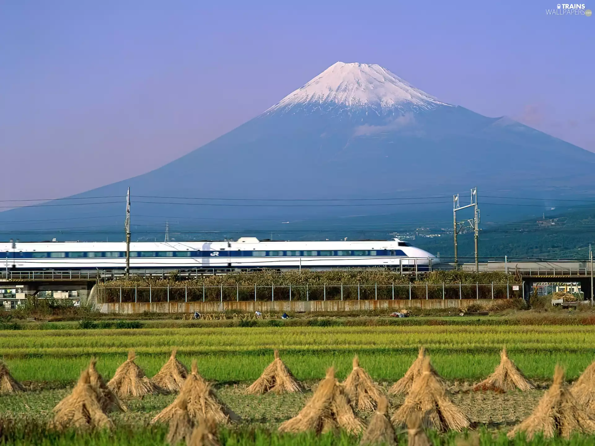 Electric train, Shinkansen