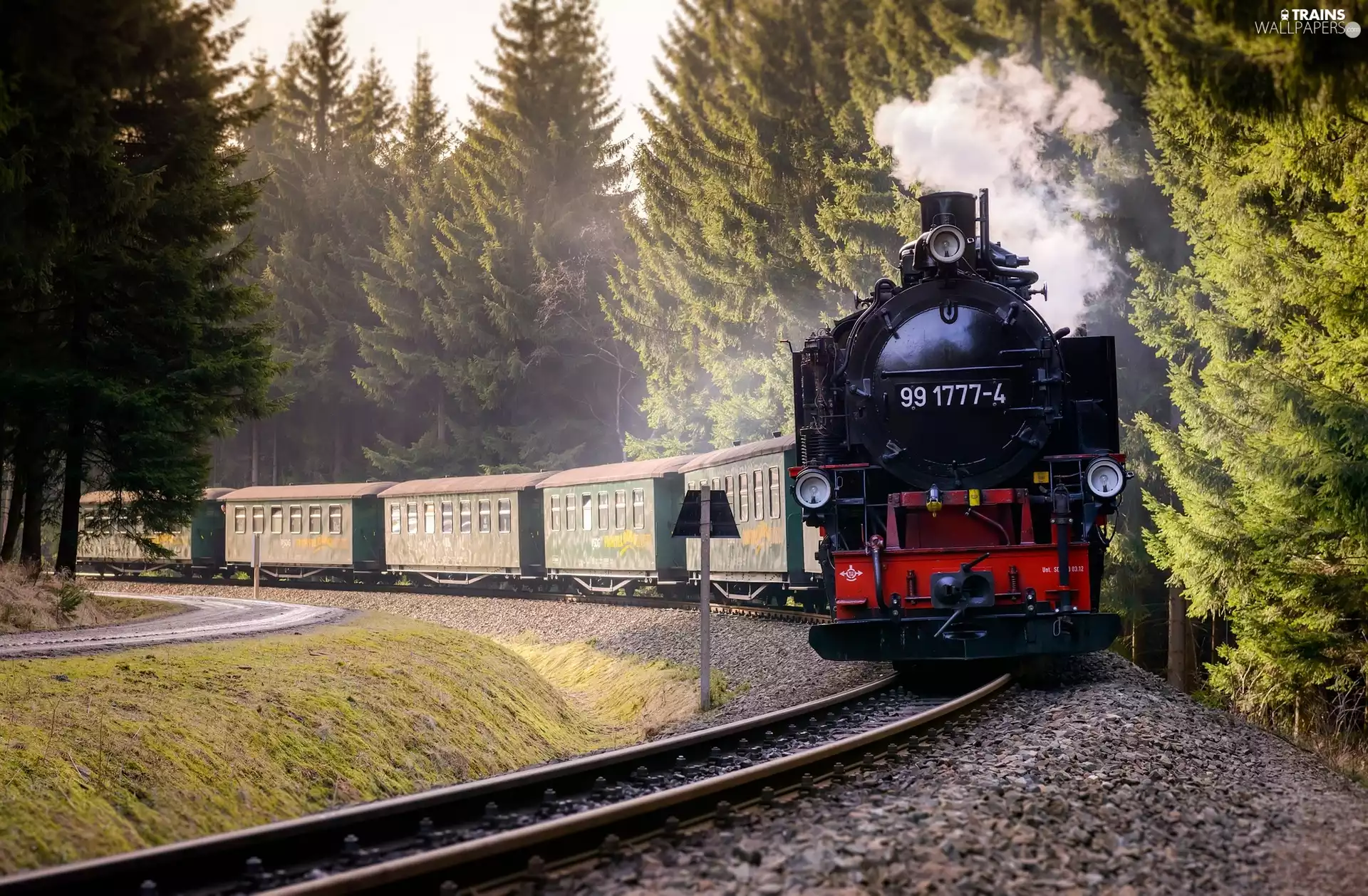 Wagons, forest, ##, locomotive, Train