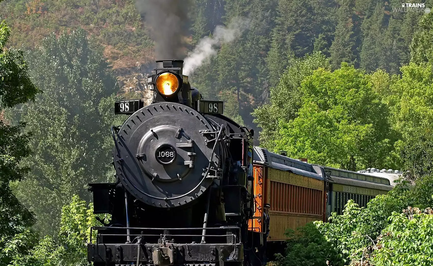 forest, Train, locomotive
