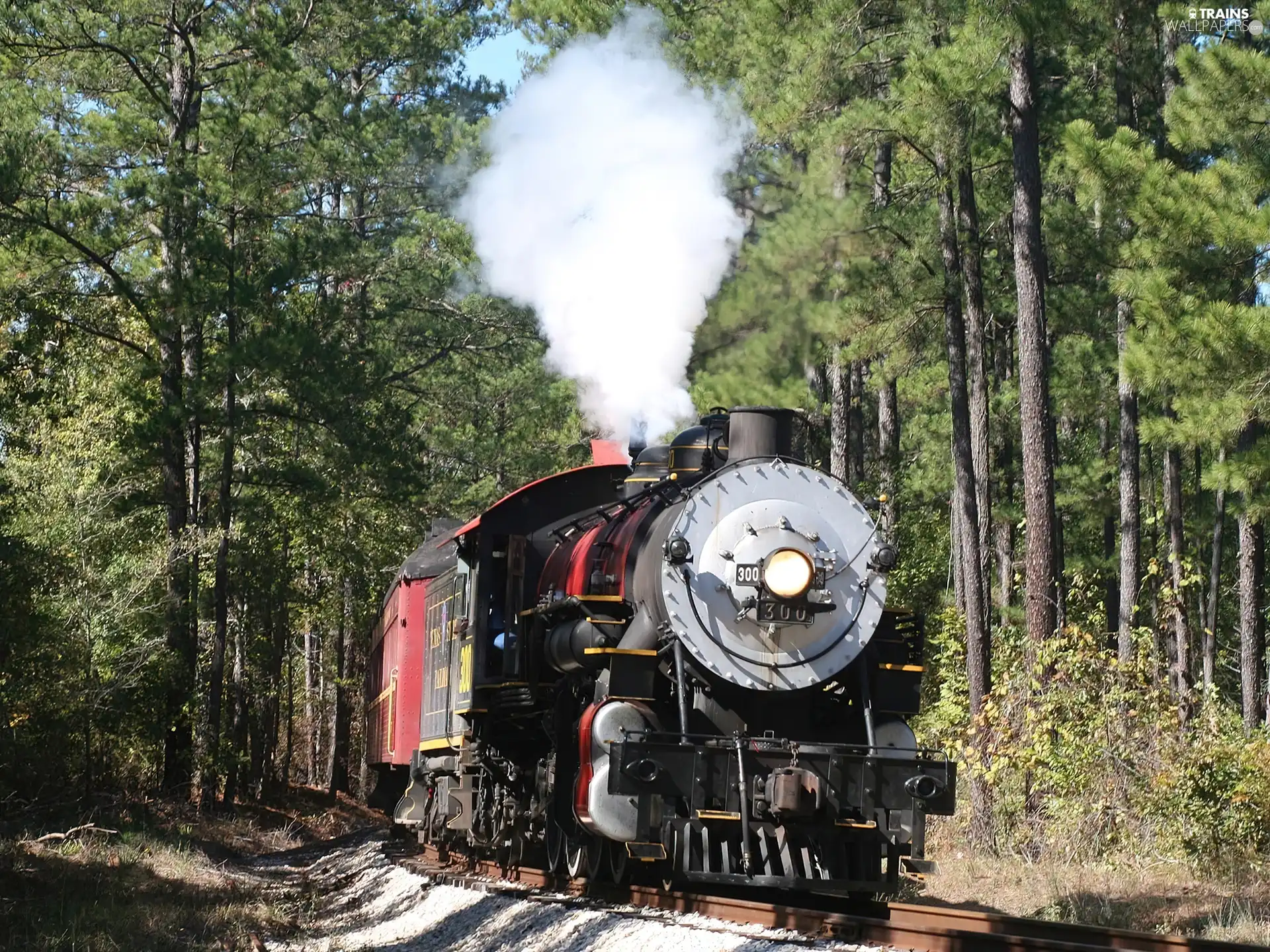 locomotive, forest