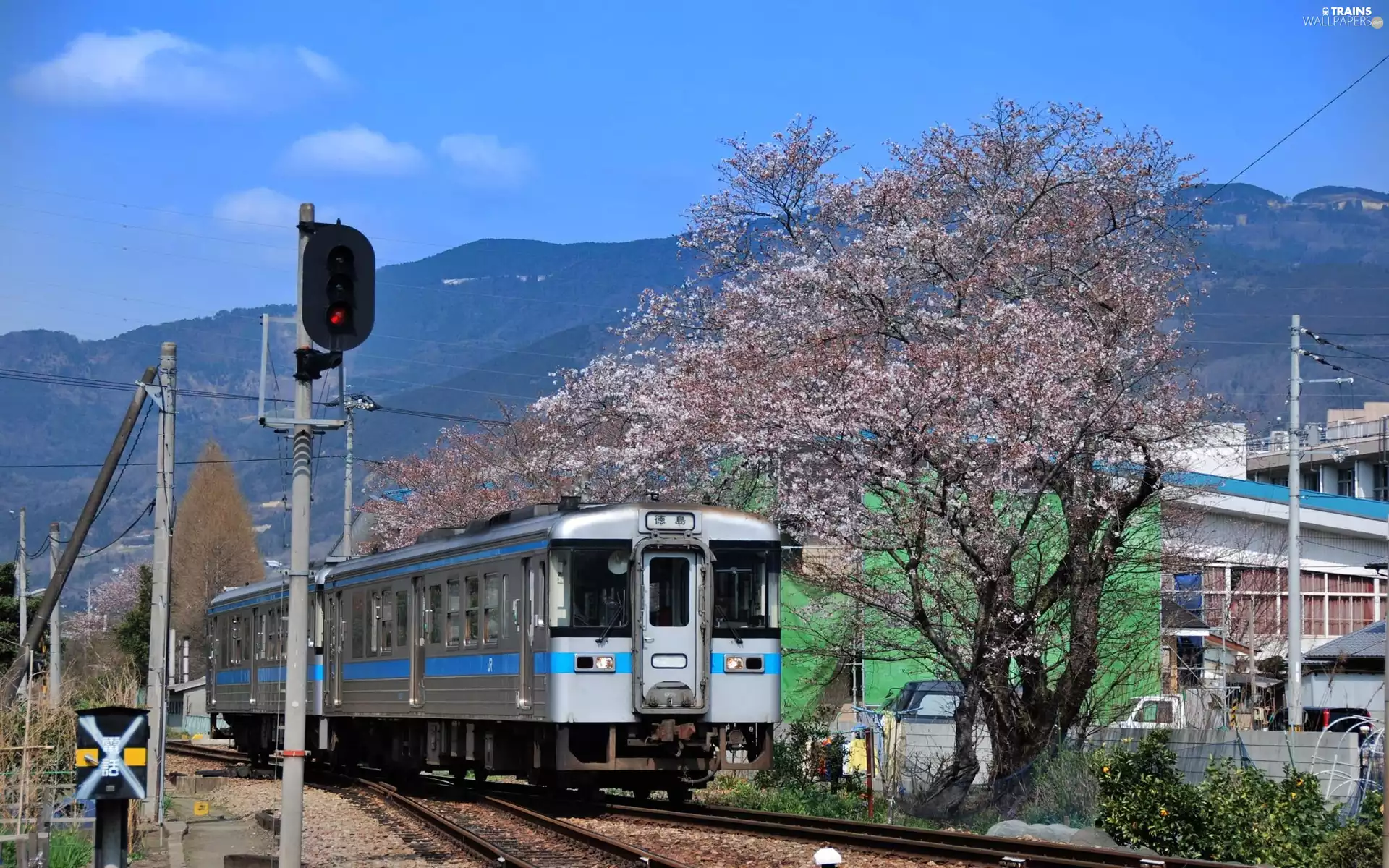 Train, trees, viewes, Japan