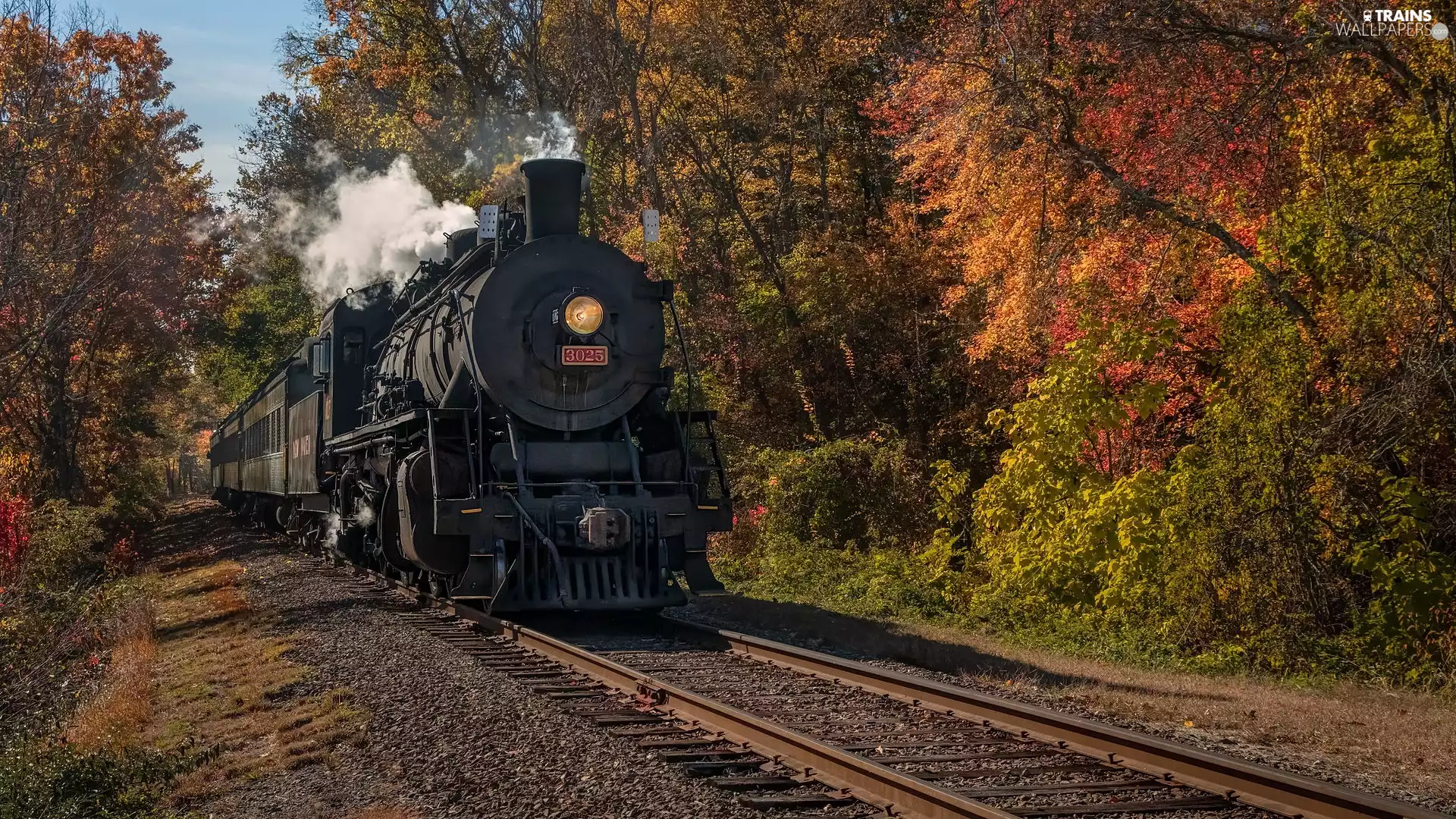 forest, ##, locomotive, steam, Train