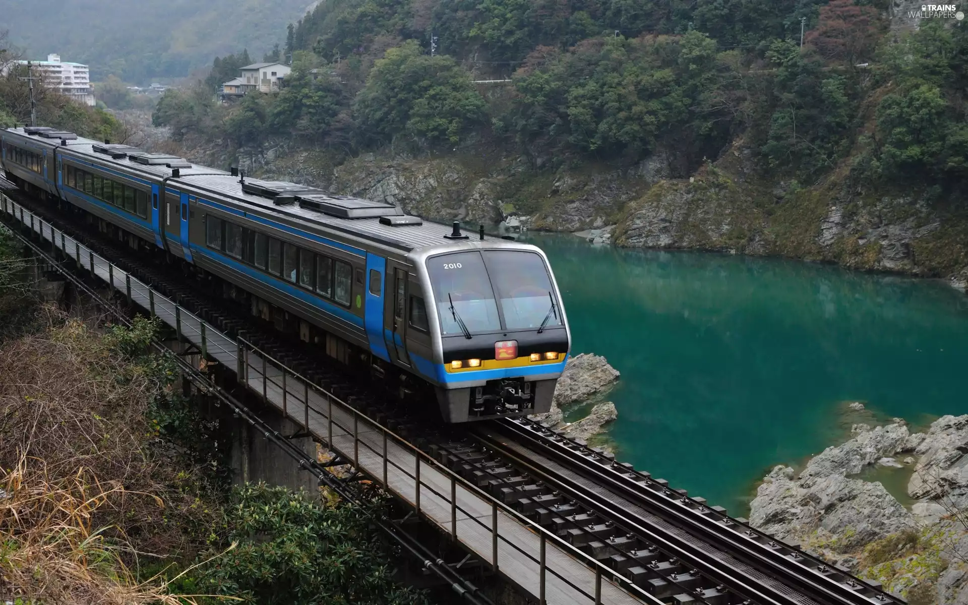Houses, Train, rocks, River, forest, bridge