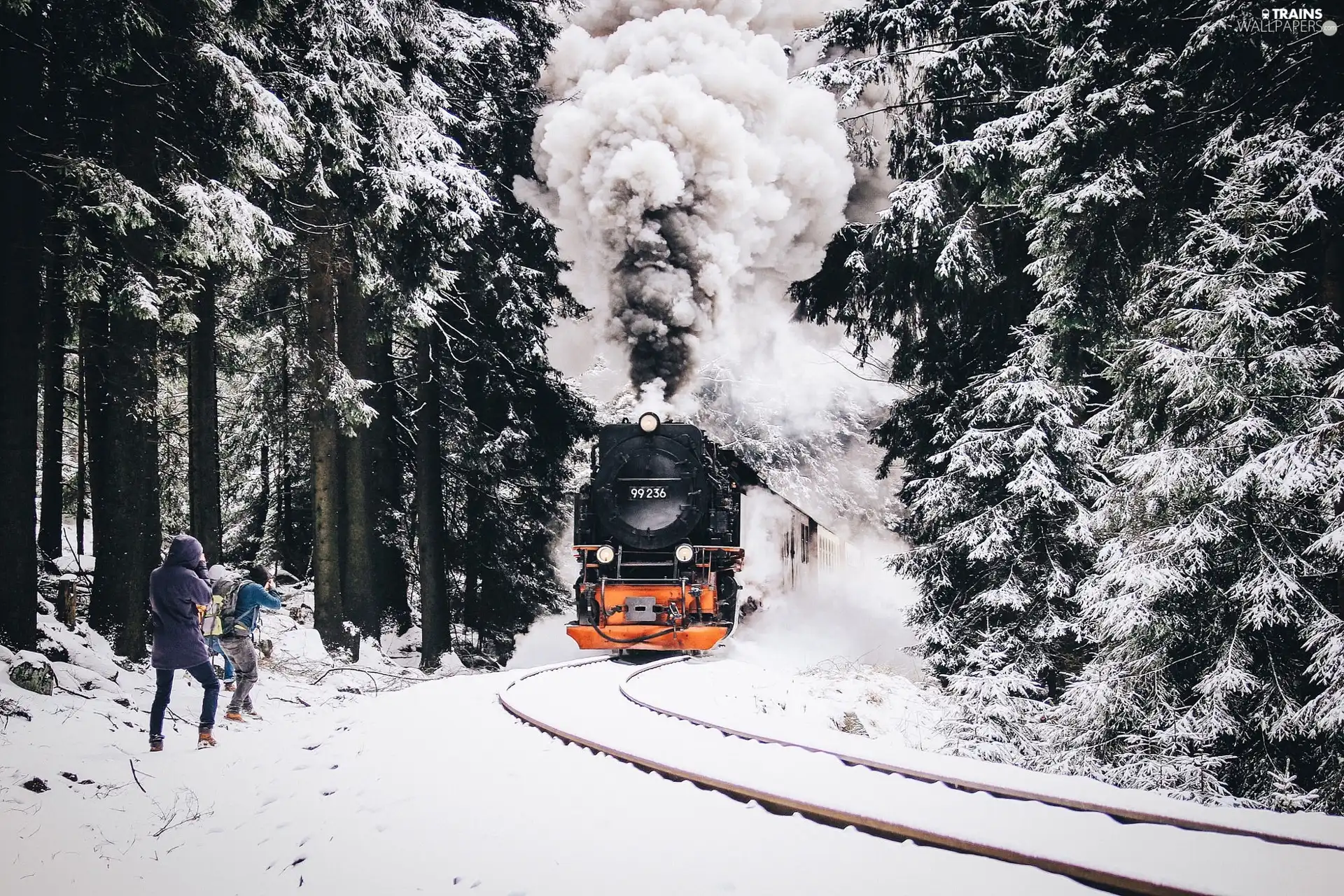  snow  Train  forest People winter Trains  wallpapers  