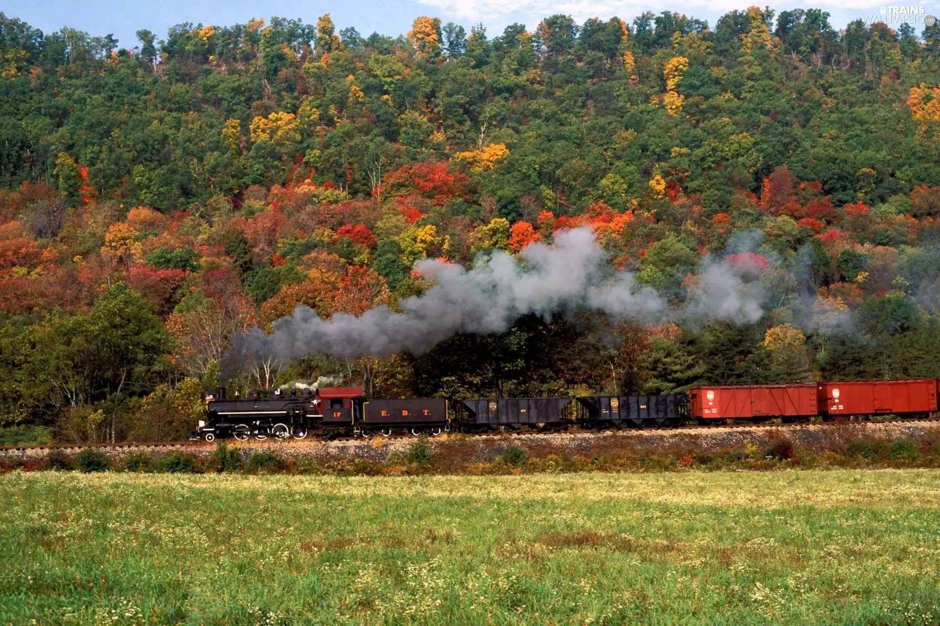 Train, autumn, forest