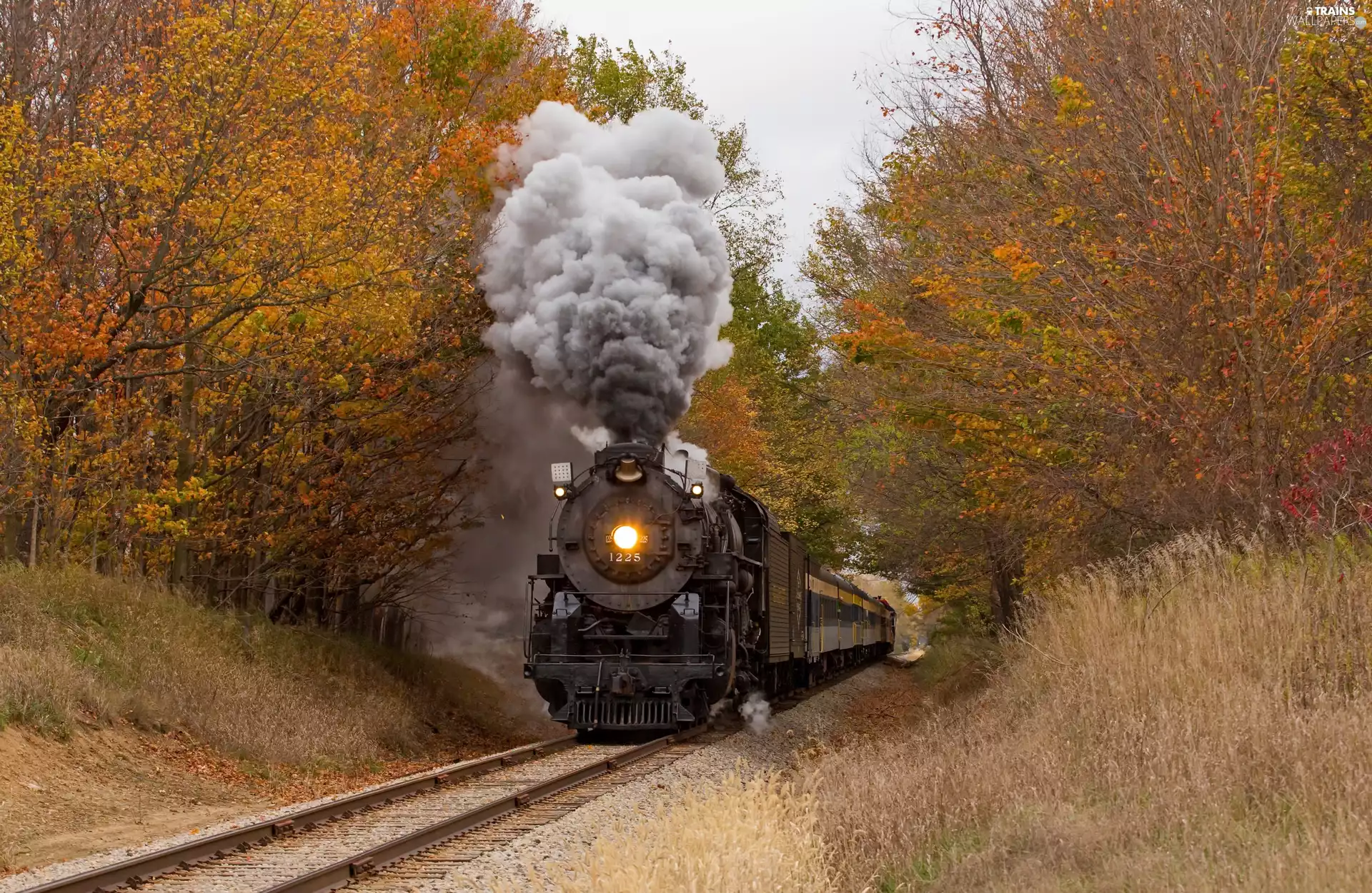 viewes, autumn, steam train, locomotive, ##, trees