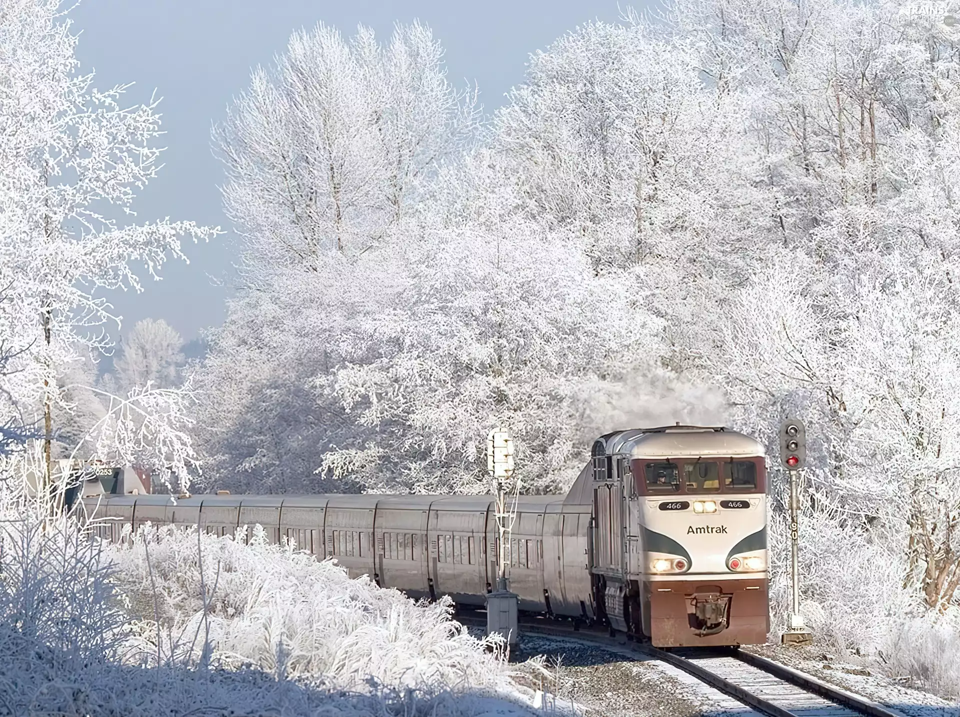Train, winter