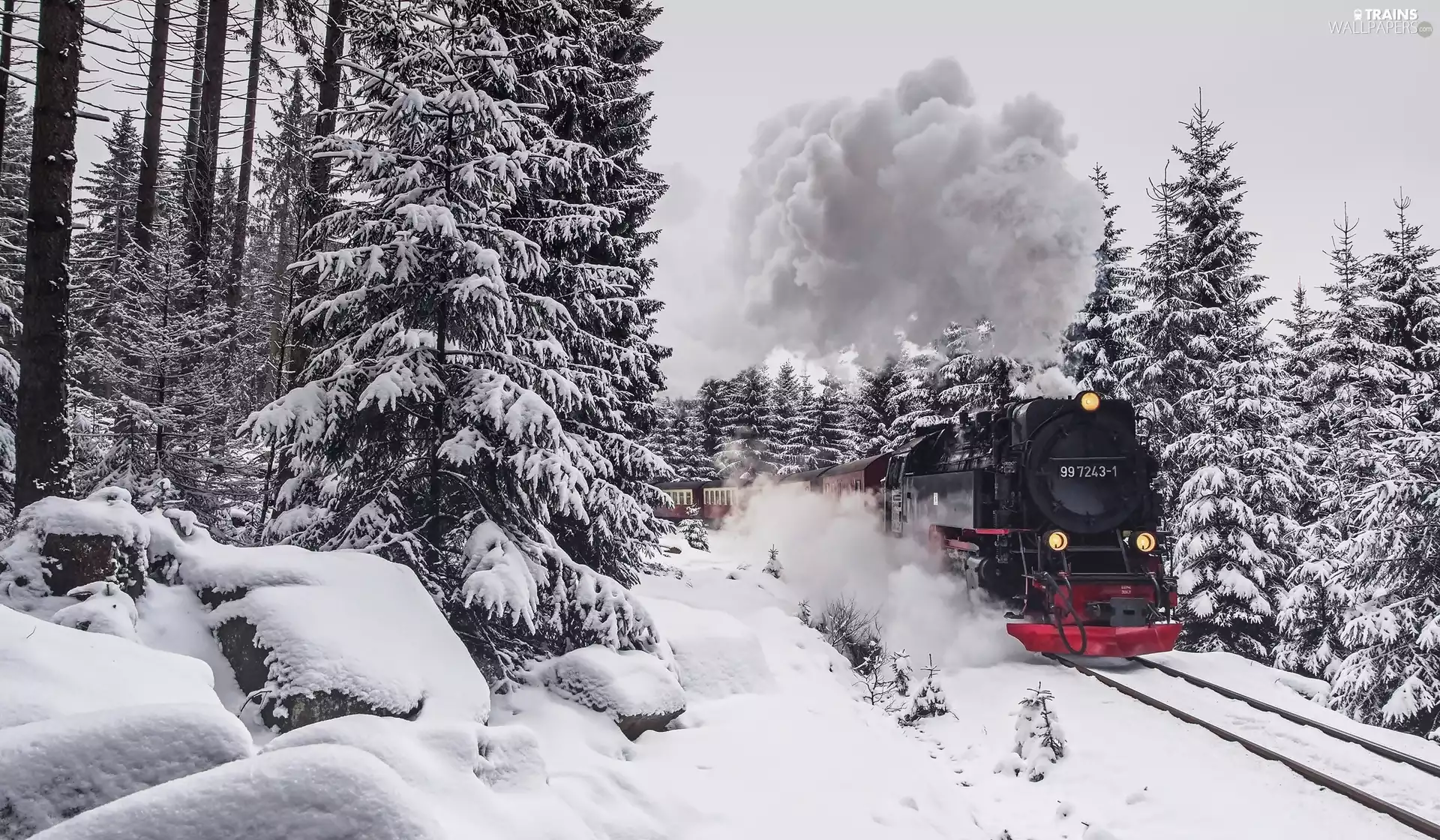 viewes, winter, forest, trees, steam train