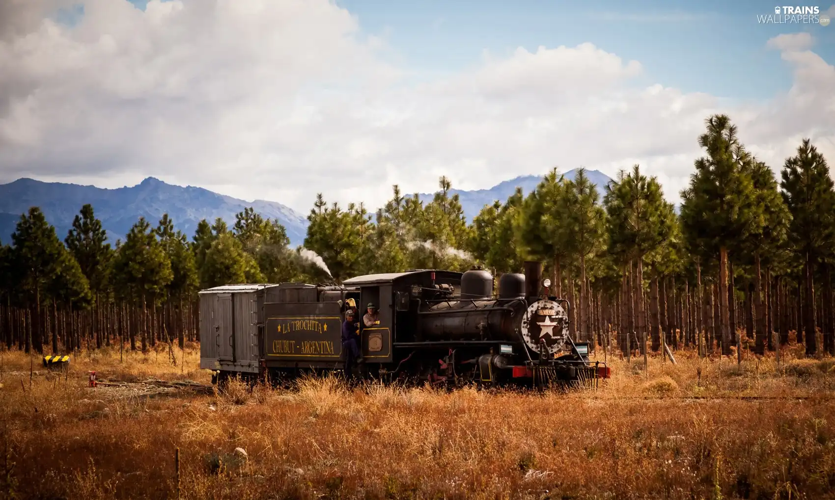 trees, viewes, Mountains, forest, locomotive