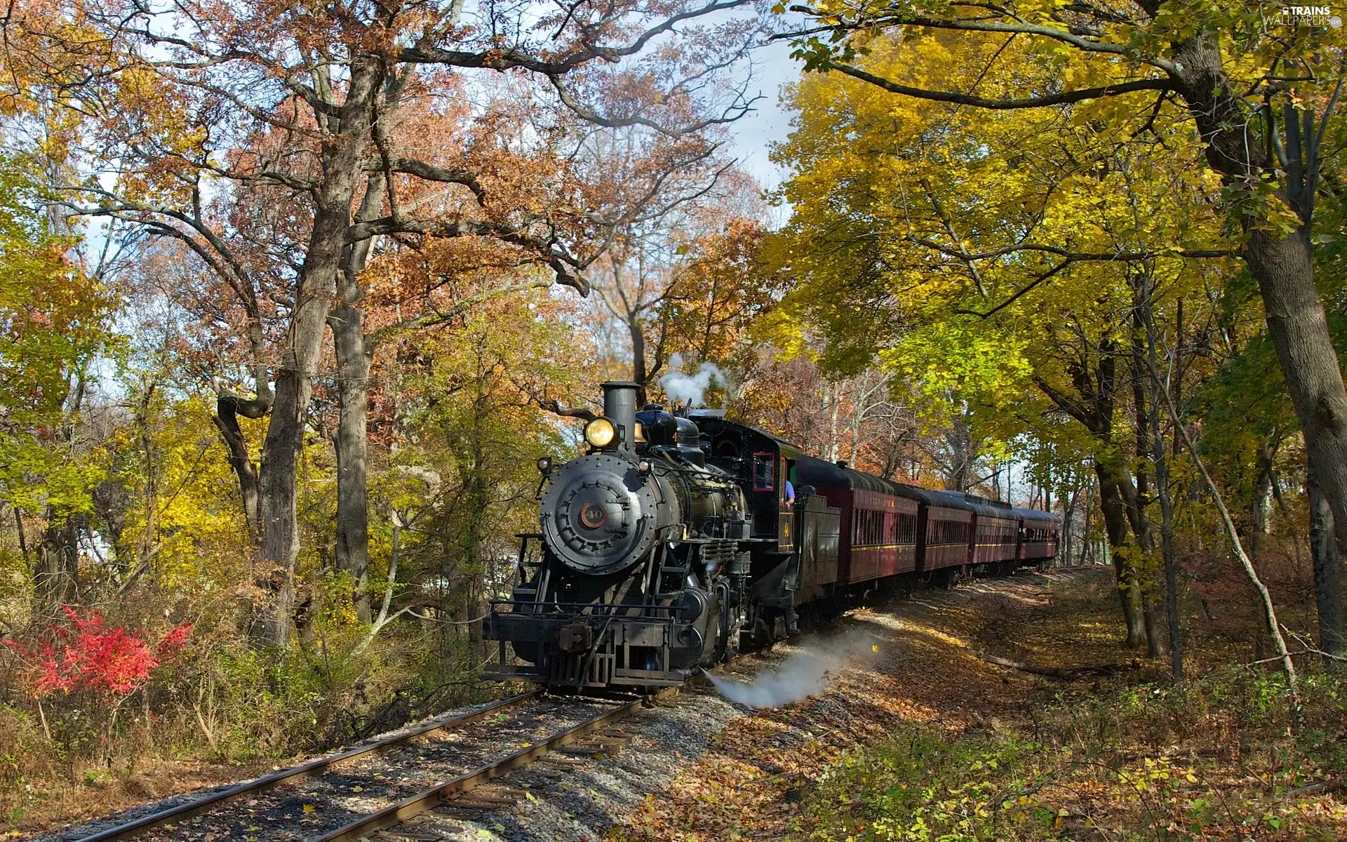 Wagons, locomotive, trees, viewes, track, steam