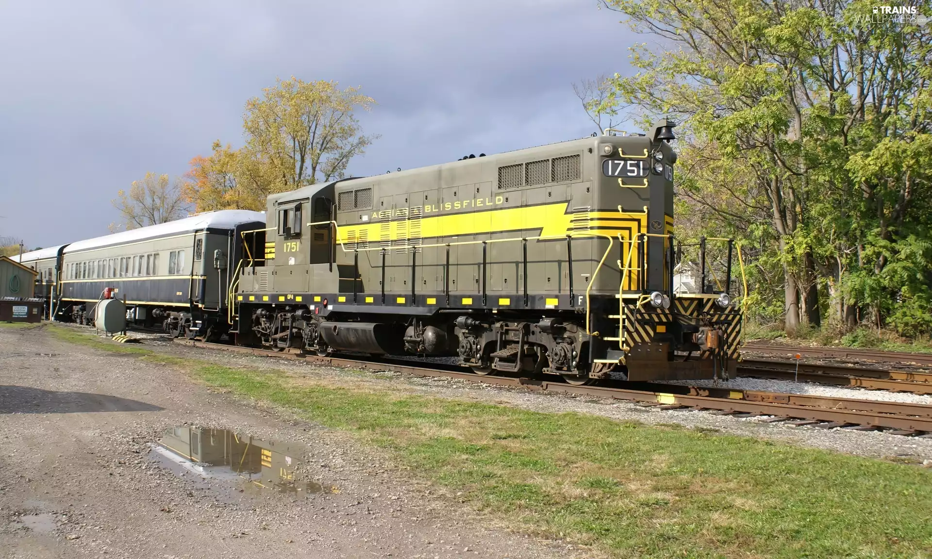 trees, viewes, Wagons, ##, locomotive
