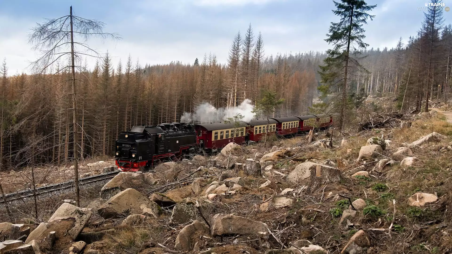 forest, engine, viewes, Wagons, Train, trees, Stones