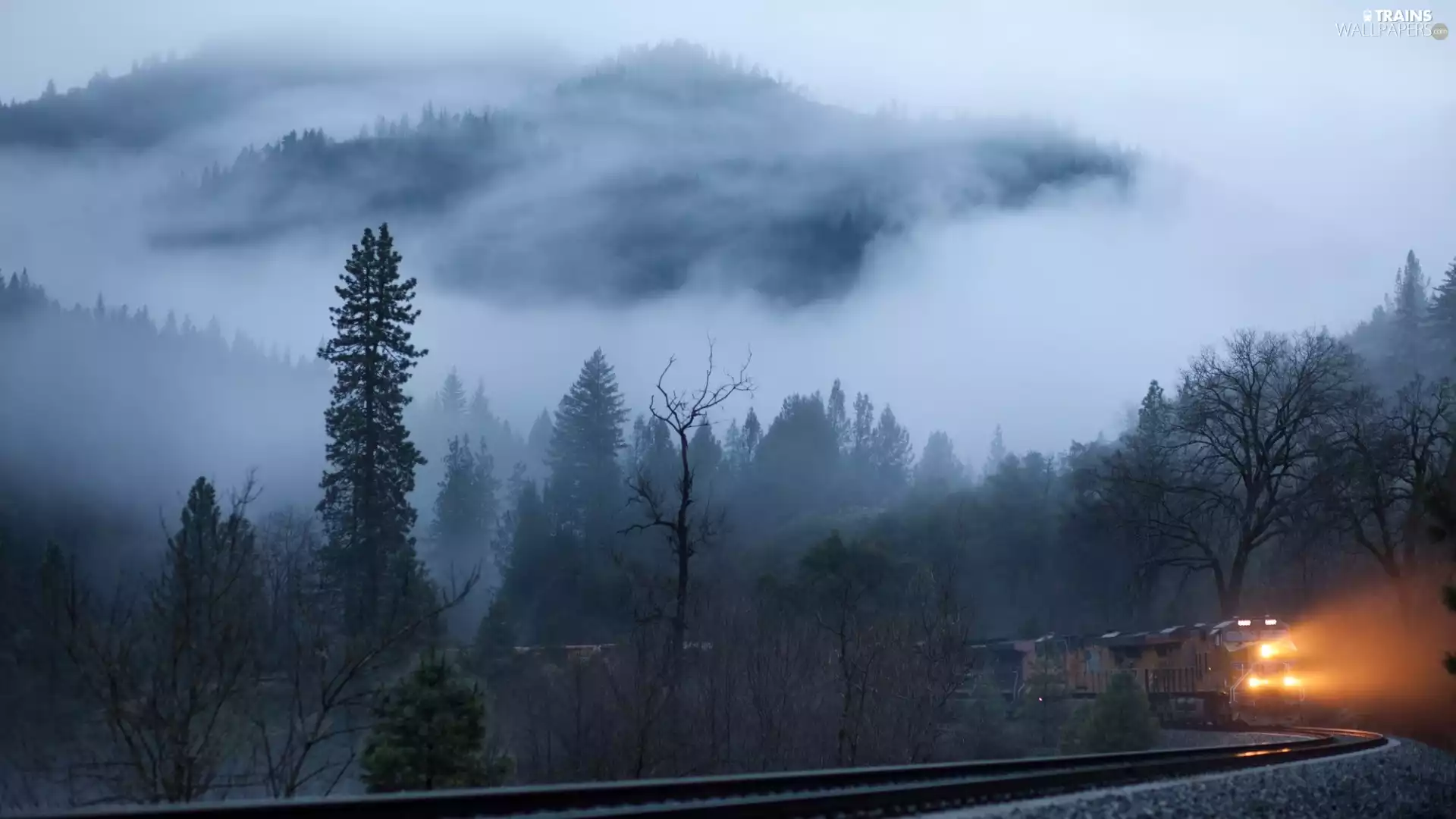 Fog, Mountains, Train, woods